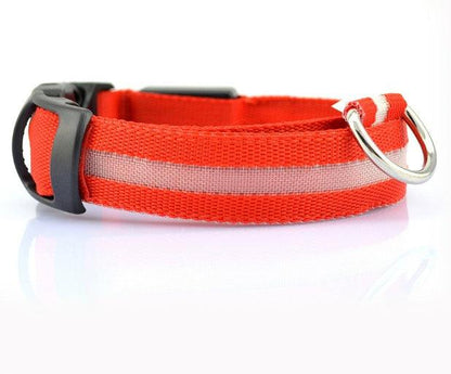 Safety Dog LED Collar â€“ Rechargeable, Adjustable, and Fashionable Reflective Pet Collar - OptiChoice