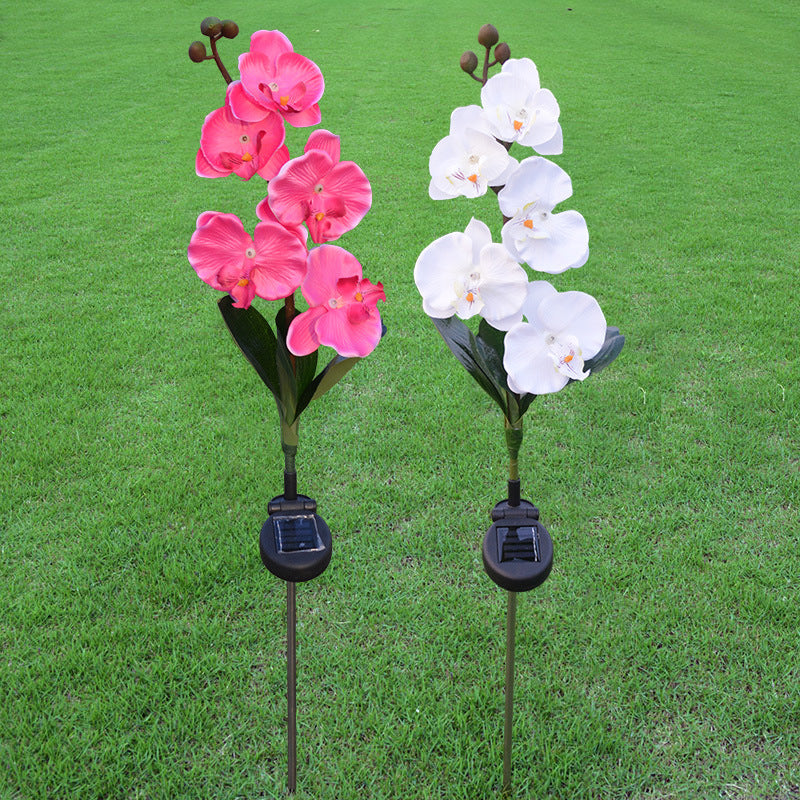 Outdoor 5-head Solar Phalaenopsis LED Flower Light