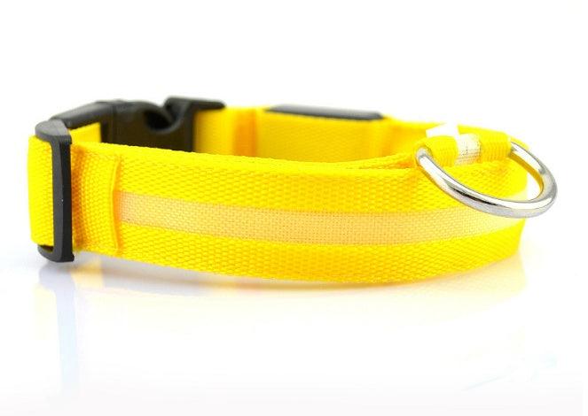 Safety Dog LED Collar â€“ Rechargeable, Adjustable, and Fashionable Reflective Pet Collar - OptiChoice