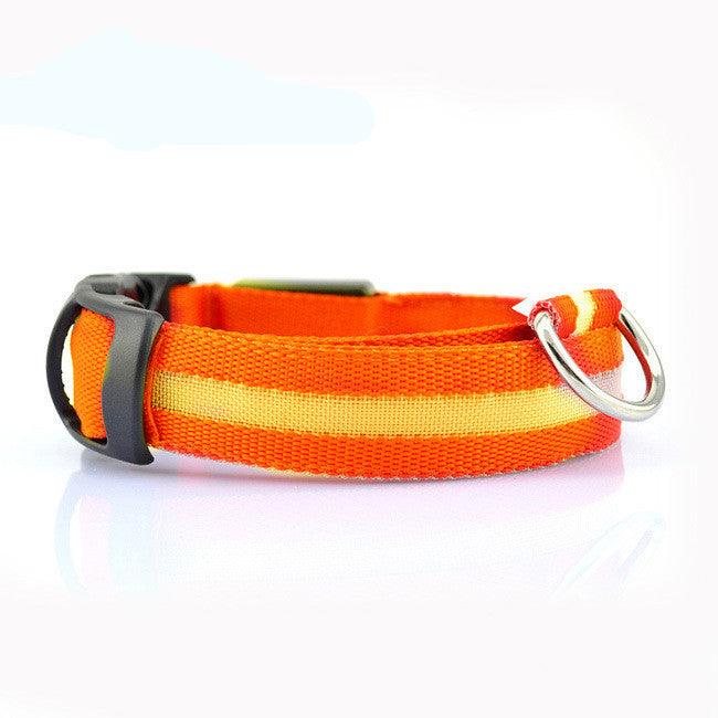 Safety Dog LED Collar â€“ Rechargeable, Adjustable, and Fashionable Reflective Pet Collar - OptiChoice