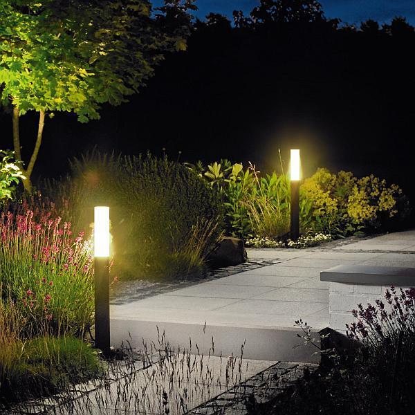 Solar Decorative Path Light- Brighten Your Outdoor Space