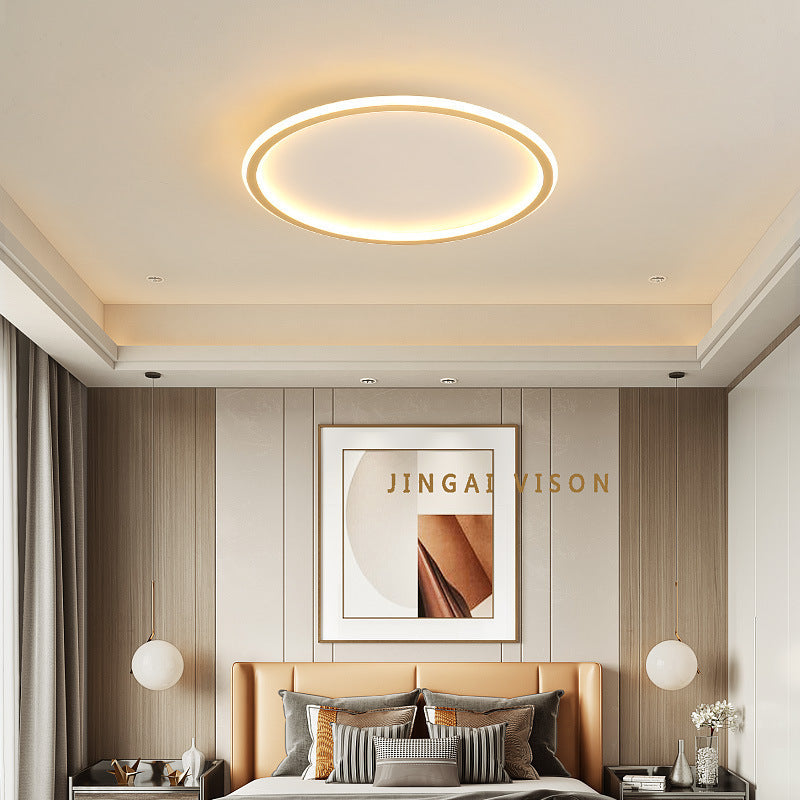 Modern Minimalist LED Ceiling Light