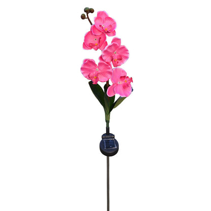 Outdoor 5-head Solar Phalaenopsis LED Flower Light