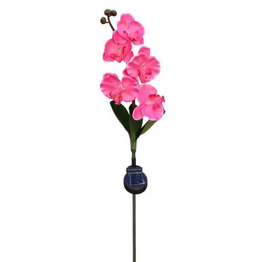 Outdoor 5-head Solar Phalaenopsis LED Flower Light