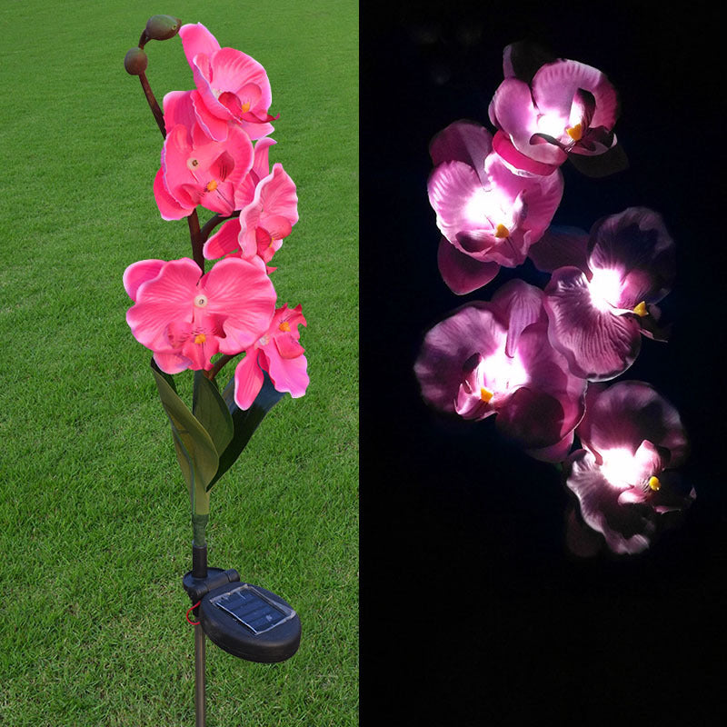 Outdoor 5-head Solar Phalaenopsis LED Flower Light