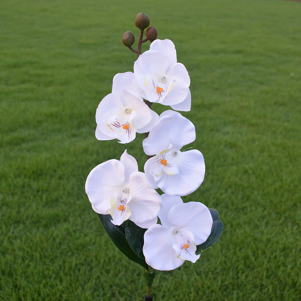 Outdoor 5-head Solar Phalaenopsis LED Flower Light