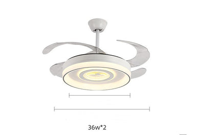 Nordic Ceiling Fan Light | Hidden Blades | Modern Design | Energy-Efficient | Home Decor