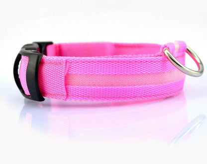 Safety Dog LED Collar â€“ Rechargeable, Adjustable, and Fashionable Reflective Pet Collar - OptiChoice