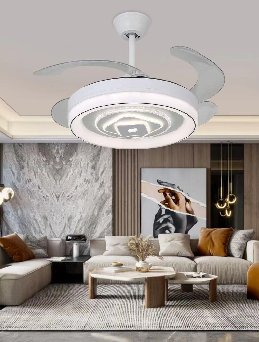 Nordic Ceiling Fan Light | Hidden Blades | Modern Design | Energy-Efficient | Home Decor