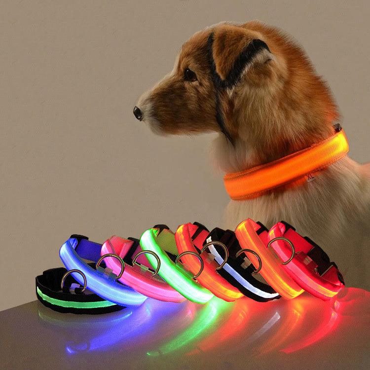 Safety Dog LED Collar â€“ Rechargeable, Adjustable, and Fashionable Reflective Pet Collar - OptiChoice