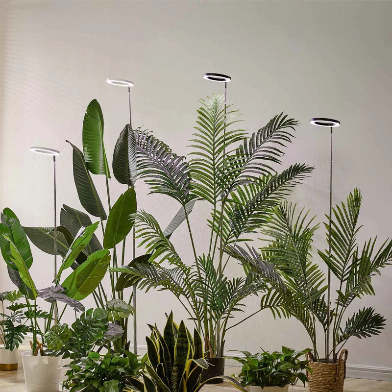 "LED Grow Light Stand – 6000K Full Spectrum Dimmable Plant Lamp with Timer for Indoor Plants"