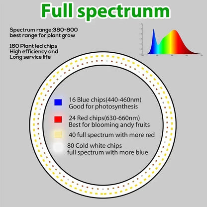 "LED Grow Light Stand – 6000K Full Spectrum Dimmable Plant Lamp with Timer for Indoor Plants"