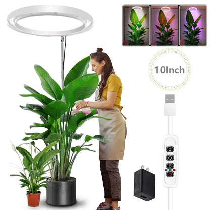 "LED Grow Light Stand – 6000K Full Spectrum Dimmable Plant Lamp with Timer for Indoor Plants"