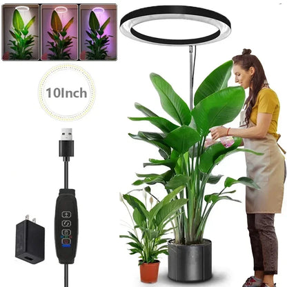 "LED Grow Light Stand – 6000K Full Spectrum Dimmable Plant Lamp with Timer for Indoor Plants"