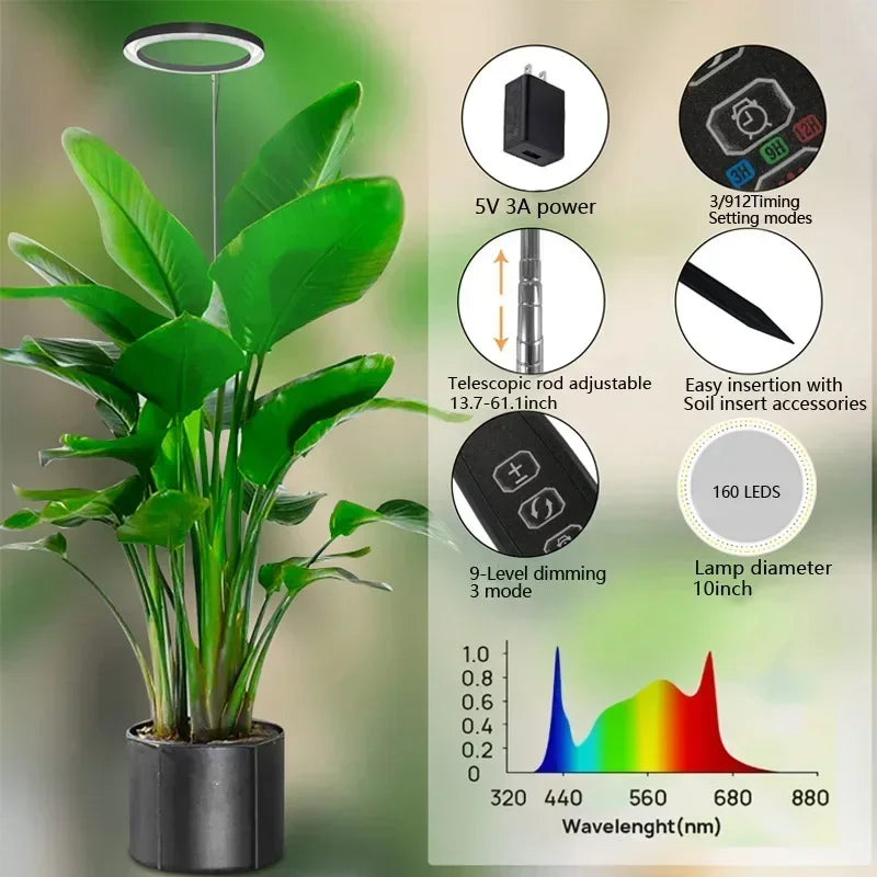 "LED Grow Light Stand – 6000K Full Spectrum Dimmable Plant Lamp with Timer for Indoor Plants"