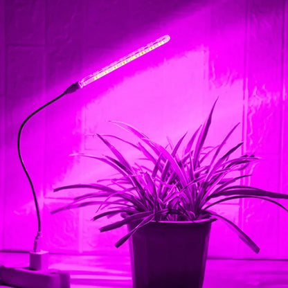 "5V USB Full Spectrum Plant Grow Light – Indoor Grow Lamp for Seedlings, Flowers, Hydroponics & Vegetables"