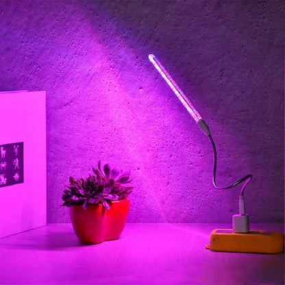 "5V USB Full Spectrum Plant Grow Light – Indoor Grow Lamp for Seedlings, Flowers, Hydroponics & Vegetables"