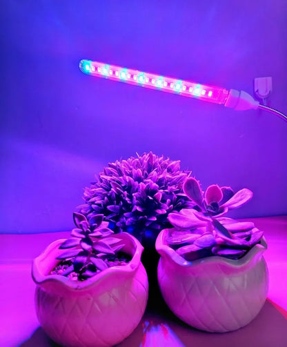 "5V USB Full Spectrum Plant Grow Light – Indoor Grow Lamp for Seedlings, Flowers, Hydroponics & Vegetables"