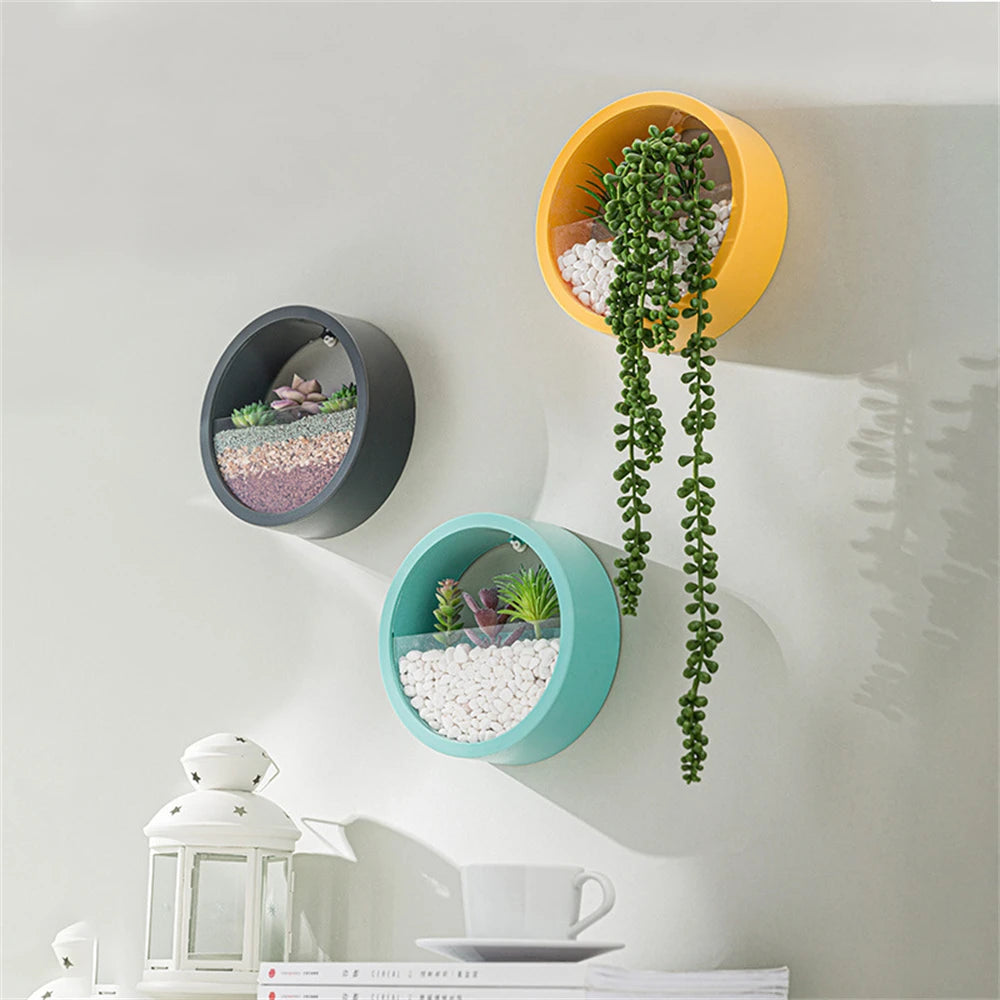 Creative Wall-Mounted Flower Planter | Home Decor | Wall Organizer | Indoor Gardening | Home Accessories