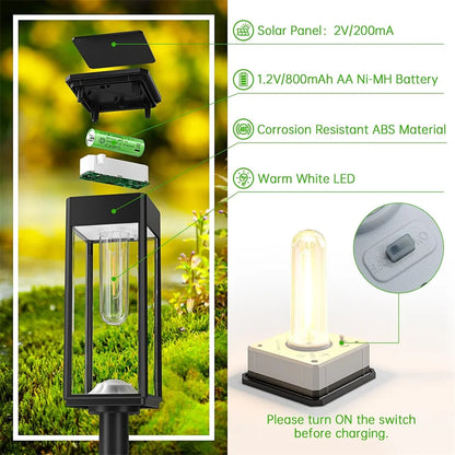 Solar Pathway Lights | Outdoor Lighting | Waterproof | Durable | Garden Decor