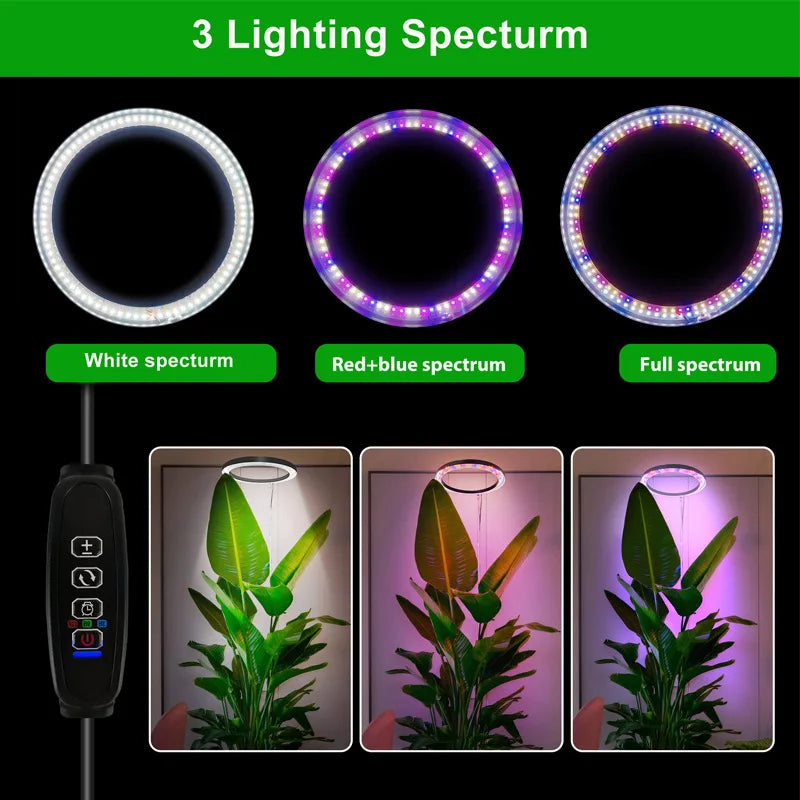 "LED Grow Light Stand – 6000K Full Spectrum Dimmable Plant Lamp with Timer for Indoor Plants"