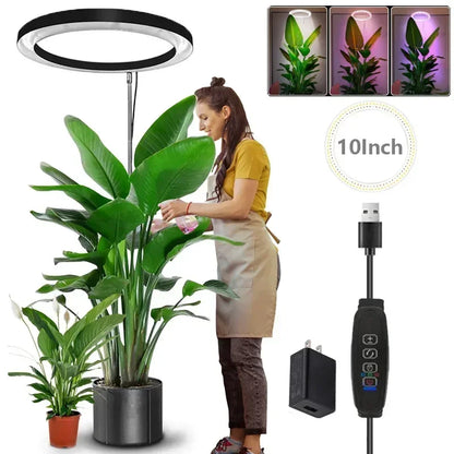 "LED Grow Light Stand – 6000K Full Spectrum Dimmable Plant Lamp with Timer for Indoor Plants"