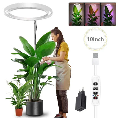 "LED Grow Light Stand – 6000K Full Spectrum Dimmable Plant Lamp with Timer for Indoor Plants"